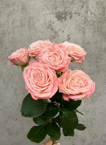 Пионовидная кустовая роза от интернет-магазина цветов в 