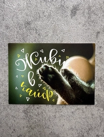 визитка№37 от интернет-магазина «» в 