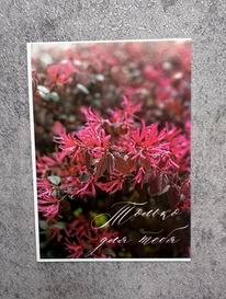 визитка№43 от интернет-магазина «» в 