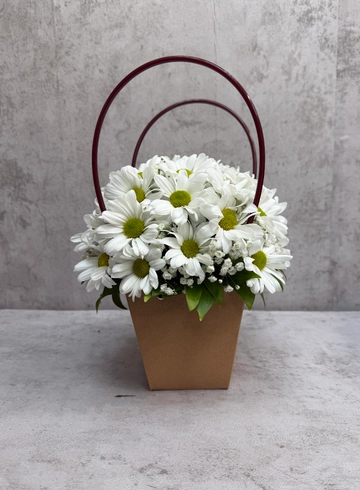 Хризантема в крафтовой сумке от интернет-магазина цветов в 