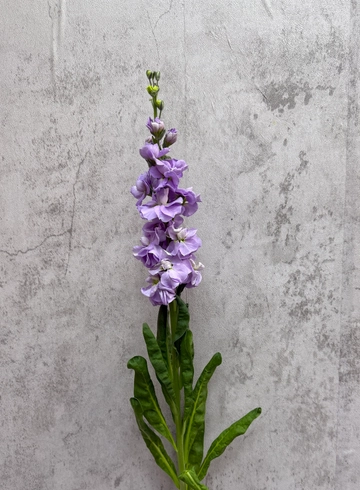 Матиола сиренивая от интернет-магазина цветов в 