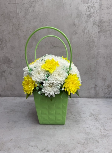Хризантема в салатовой сумке от интернет-магазина цветов в 