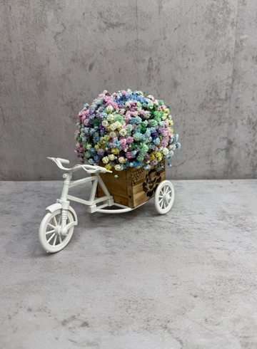 Радужная гипсофила-белый велосипед от интернет-магазина цветов в 